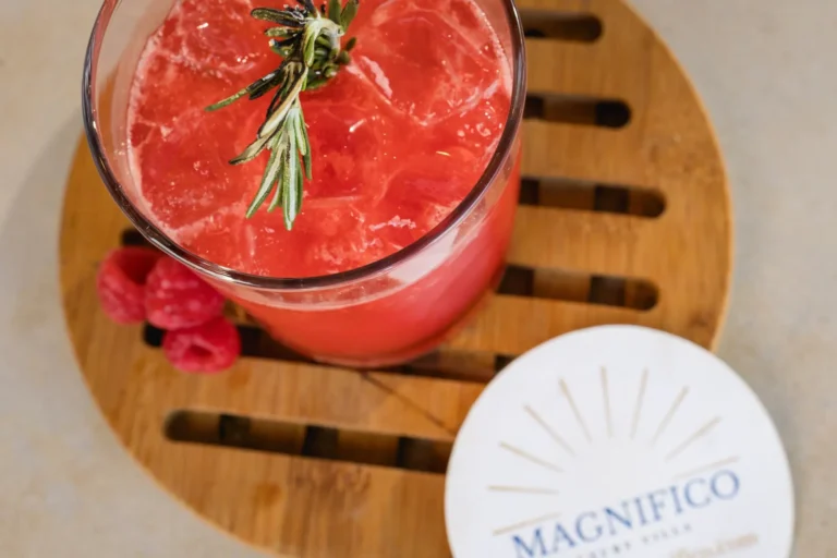 Villa Magnifico Pink cocktail with rosemary garnish on wooden coaster, raspberries nearby; "Magnifico" card in luxury villa, Mismaloya.